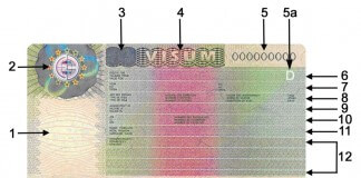huong-dan-cach-dien-to-khai-visa-xin-du-hoc-duc