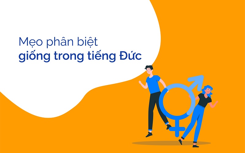 meo-phan-biet-giong-cua-danh-tu-trong-tieng-duc